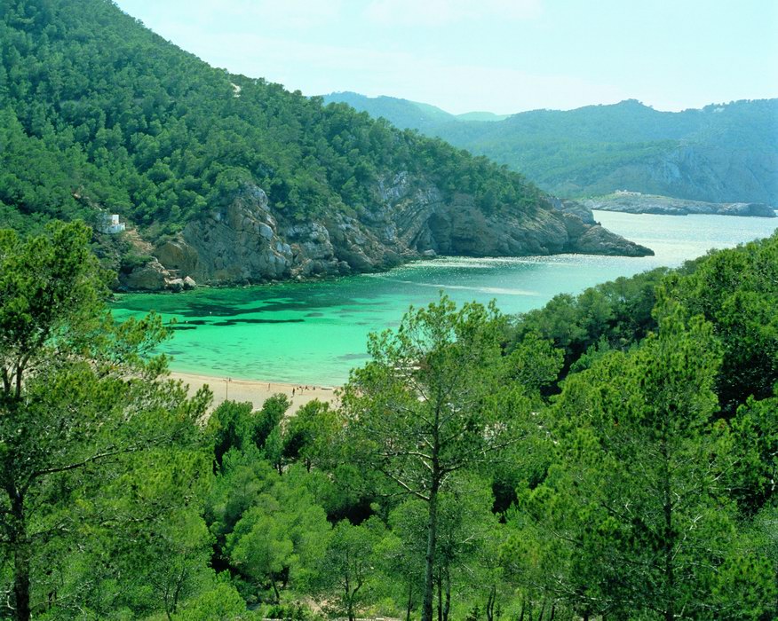 Una típica cala ibicenca rodeada de pinos y grandes rocas